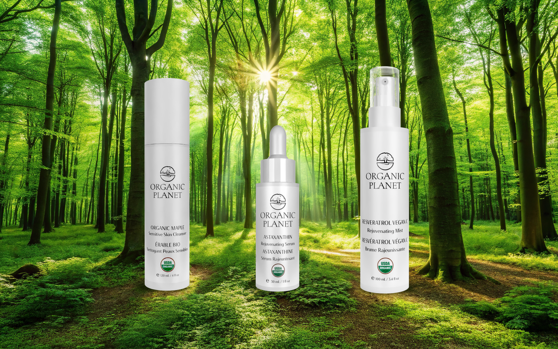 Why USDA-Certified Organic Skincare Is the Upgrade Your Skin (and Body) Deserves